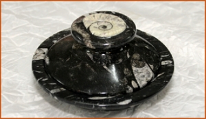 Fossils Erfoud in Morocco,marble fossils,quality products ,Achour fossils Fossils Erfoud in Morocco,marble fossils,quality products ,Achour fossils