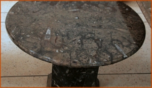 Fossils Erfoud in Morocco,marble fossils,quality products ,Achour fossils Fossils Erfoud in Morocco,marble fossils,quality products ,Achour fossils