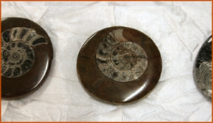 Fossils Erfoud in Morocco,marble fossils,quality products ,Achour fossils Fossils Erfoud in Morocco,marble fossils,quality products ,Achour fossils