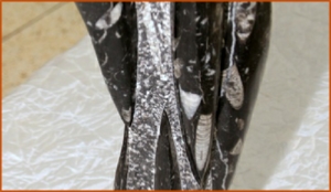 Fossils Erfoud in Morocco,marble fossils,quality products ,Achour fossils Fossils Erfoud in Morocco,marble fossils,quality products ,Achour fossils