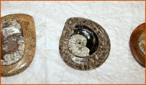 Fossils Erfoud in Morocco,marble fossils,quality products ,Achour fossils Fossils Erfoud in Morocco,marble fossils,quality products ,Achour fossils