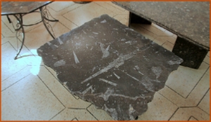Fossils Erfoud in Morocco,marble fossils,quality products ,Achour fossils Fossils Erfoud in Morocco,marble fossils,quality products ,Achour fossils