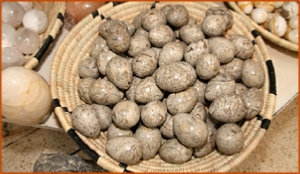 Fossils Erfoud in Morocco,marble fossils,quality products ,Achour fossils Fossils Erfoud in Morocco,marble fossils,quality products ,Achour fossils