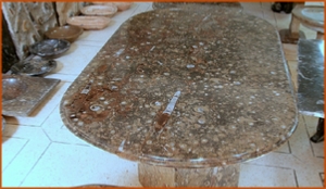 Fossils Erfoud in Morocco,marble fossils,quality products ,Achour fossils Fossils Erfoud in Morocco,marble fossils,quality products ,Achour fossils