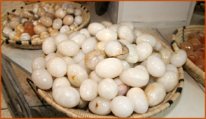 Fossils Erfoud in Morocco,marble fossils,quality products ,Achour fossils Fossils Erfoud in Morocco,marble fossils,quality products ,Achour fossils