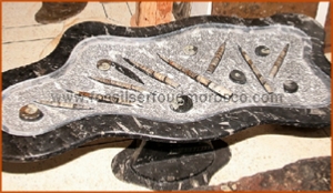 Fossils Erfoud in Morocco,marble fossils,quality products ,Achour fossils Fossils Erfoud in Morocco,marble fossils,quality products ,Achour fossils