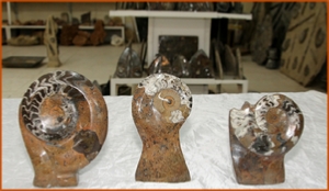 Fossils Erfoud in Morocco,marble fossils,quality products ,Achour fossils Fossils Erfoud in Morocco,marble fossils,quality products ,Achour fossils