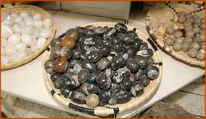 Fossils Erfoud in Morocco,marble fossils,quality products ,Achour fossils Fossils Erfoud in Morocco,marble fossils,quality products ,Achour fossils