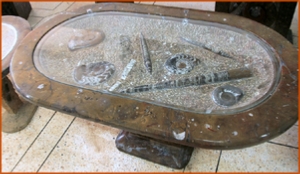 Fossils Erfoud in Morocco,marble fossils,quality products ,Achour fossils Fossils Erfoud in Morocco,marble fossils,quality products ,Achour fossils