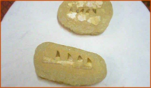 Fossils Erfoud in Morocco,marble fossils,quality products ,Achour fossils Fossils Erfoud in Morocco,marble fossils,quality products ,Achour fossils