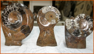 Fossils Erfoud in Morocco,marble fossils,quality products ,Achour fossils Fossils Erfoud in Morocco,marble fossils,quality products ,Achour fossils