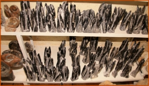 Fossils Erfoud in Morocco,marble fossils,quality products ,Achour fossils Fossils Erfoud in Morocco,marble fossils,quality products ,Achour fossils