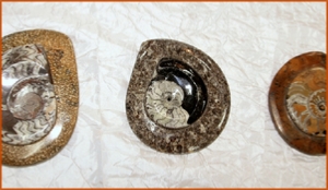 Fossils Erfoud in Morocco,marble fossils,quality products ,Achour fossils Fossils Erfoud in Morocco,marble fossils,quality products ,Achour fossils