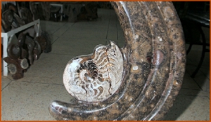 Fossils Erfoud in Morocco,marble fossils,quality products ,Achour fossils Fossils Erfoud in Morocco,marble fossils,quality products ,Achour fossils