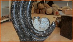 Fossils Erfoud in Morocco,marble fossils,quality products ,Achour fossils Fossils Erfoud in Morocco,marble fossils,quality products ,Achour fossils