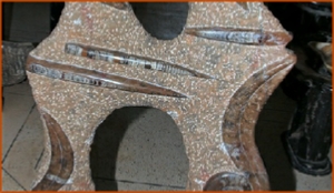 Fossils Erfoud in Morocco,marble fossils,quality products ,Achour fossils Fossils Erfoud in Morocco,marble fossils,quality products ,Achour fossils