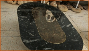 Fossils Erfoud in Morocco,marble fossils,quality products ,Achour fossils Fossils Erfoud in Morocco,marble fossils,quality products ,Achour fossils