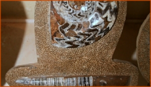 Fossils Erfoud in Morocco,marble fossils,quality products ,Achour fossils Fossils Erfoud in Morocco,marble fossils,quality products ,Achour fossils