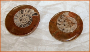 Fossils Erfoud in Morocco,marble fossils,quality products ,Achour fossils Fossils Erfoud in Morocco,marble fossils,quality products ,Achour fossils