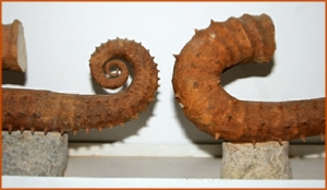 Fossils Erfoud in Morocco,marble fossils,quality products ,Achour fossils Fossils Erfoud in Morocco,marble fossils,quality products ,Achour fossils
