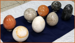 Fossils Erfoud in Morocco,marble fossils,quality products ,Achour fossils Fossils Erfoud in Morocco,marble fossils,quality products ,Achour fossils